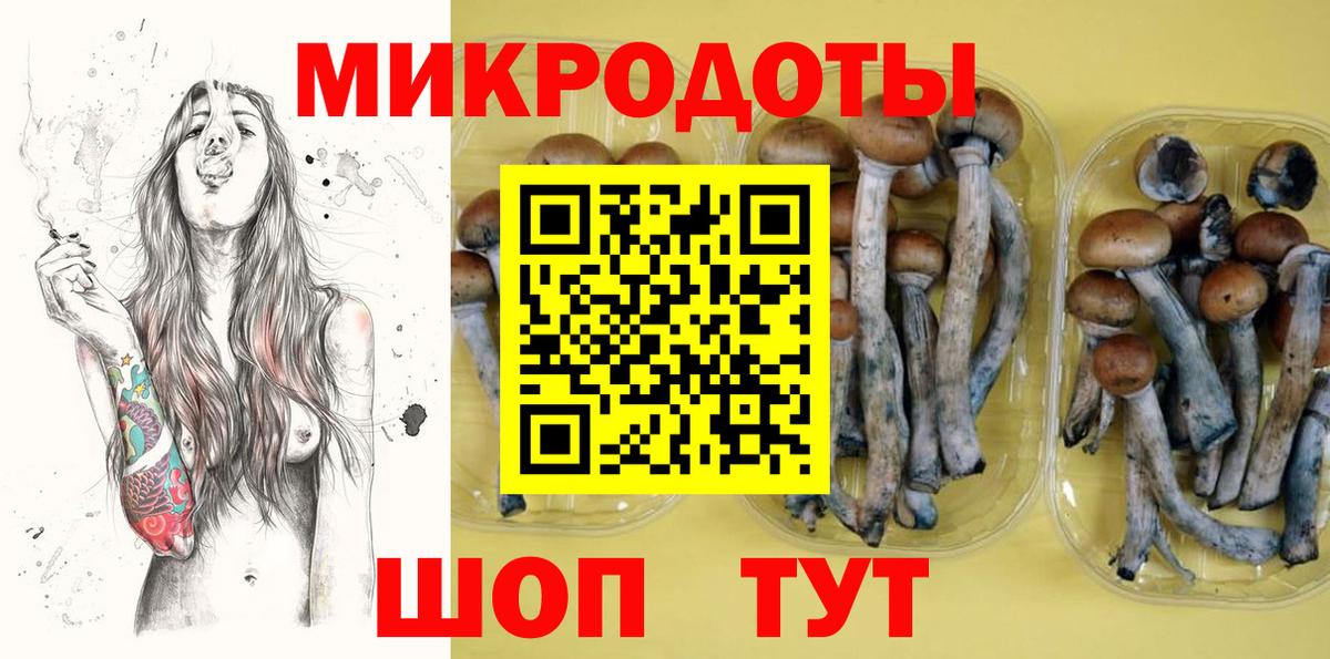 А ПВП Кудрово