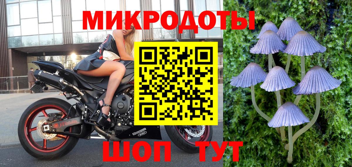 как найти закладки  Псилоцибиновые грибы прущие грибы  Кудрово  Вход с VPN  Галлюциногенные грибы прущие грибы 